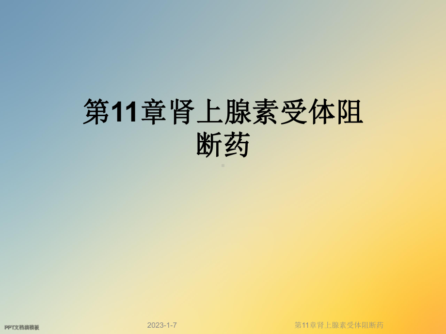 第11章肾上腺素受体阻断药课件.ppt_第1页