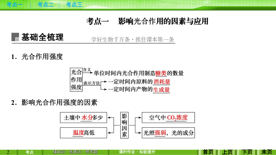 2022新人教版（2019）《高中生物》必修第一册一轮复习生物：第10讲 光合作用（ppt课件）.pptx_第2页