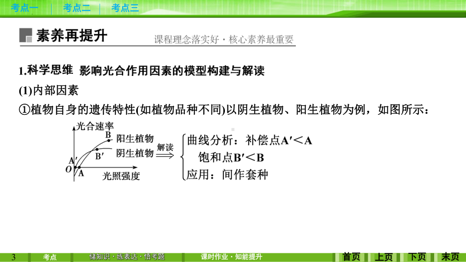 2022新人教版（2019）《高中生物》必修第一册一轮复习生物：第10讲 光合作用（ppt课件）.pptx_第3页