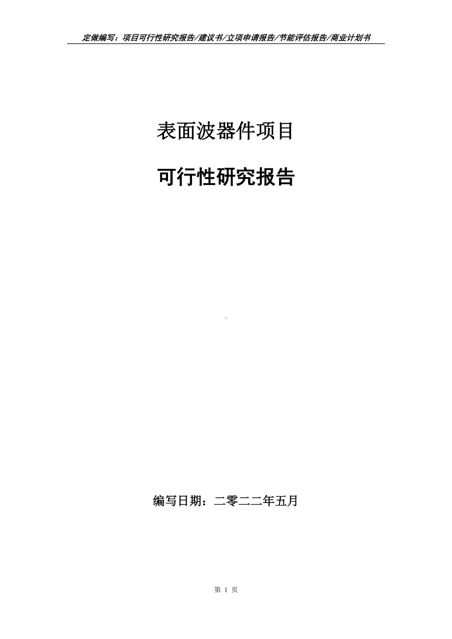 表面波器件项目可行性报告（写作模板）.doc_第1页