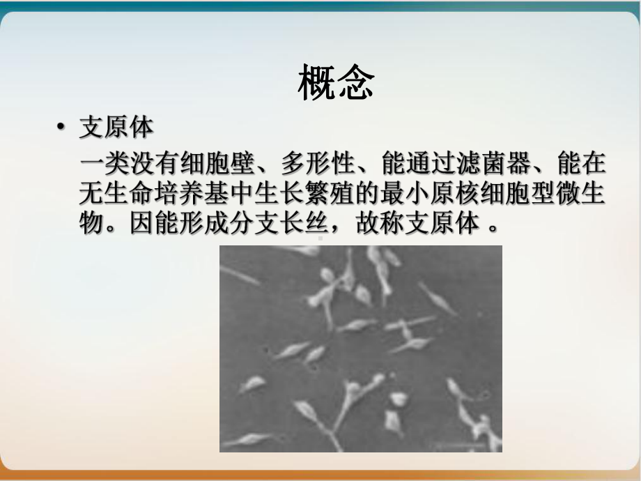 病原生物与免疫学支原体立克次体衣原体螺旋体优质课件.ppt_第2页