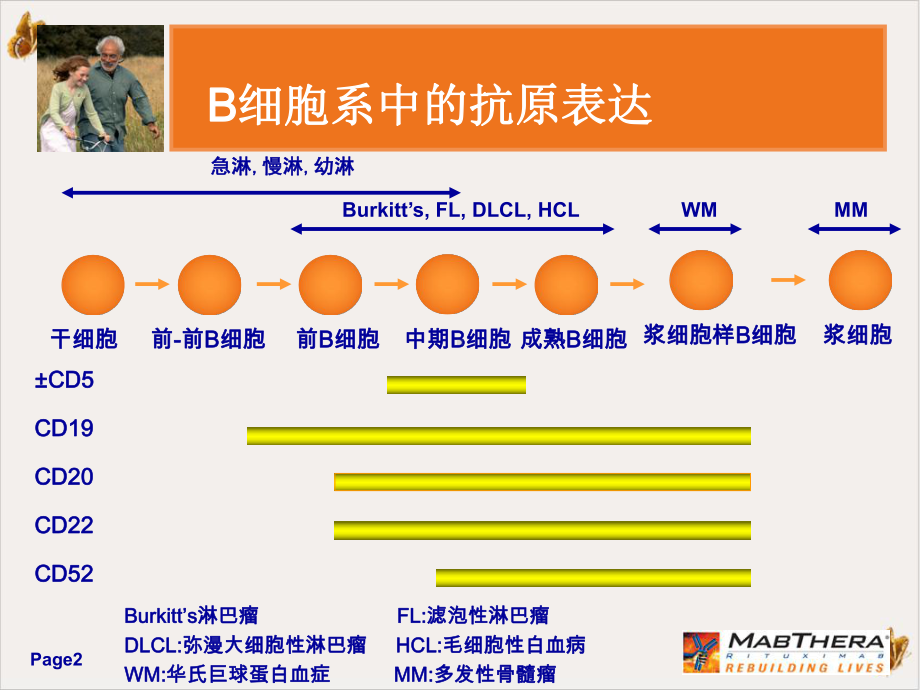 非霍奇金淋巴瘤产品知识实用课件.pptx_第2页