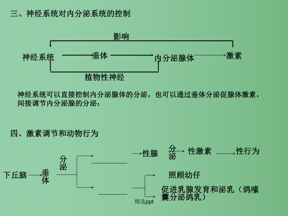 高中生物-《神经系统》复习课件-必修3.ppt_第3页