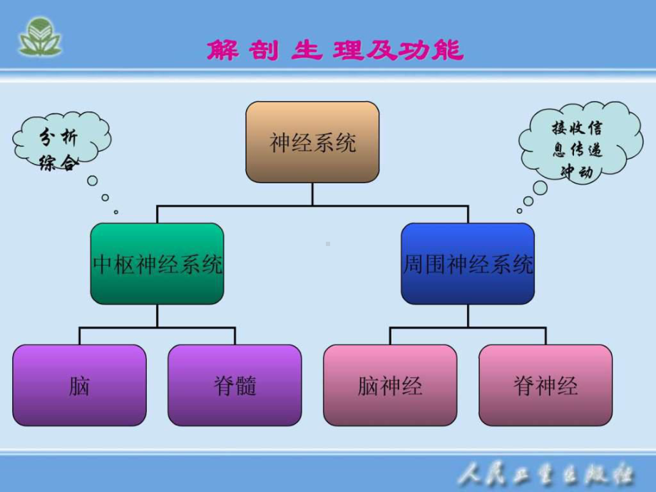 神经内科护理学-概述课件.ppt_第3页