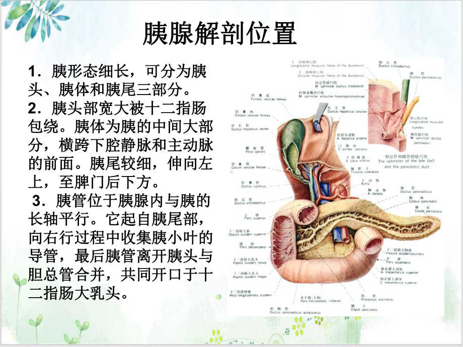 胰十二指肠切除热点问题浅谈培训课件.ppt_第3页