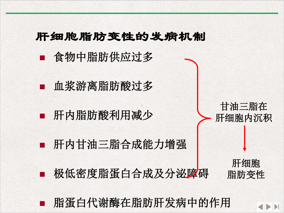 酒精性和非酒精性脂肪肝课件讲义.ppt_第3页