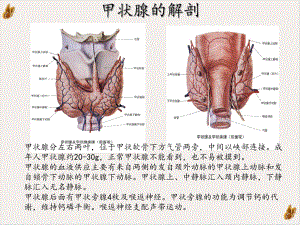 甲状腺肿瘤实用课件.pptx