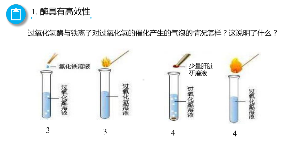 2022新人教版（2019）《高中生物》必修第一册5.1.2 酶的特性（ppt课件）.pptx_第3页