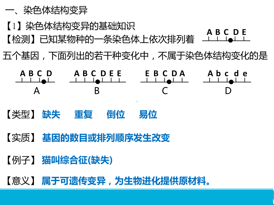 高中生物人教版《染色体变异》(最新版)课件.pptx_第3页