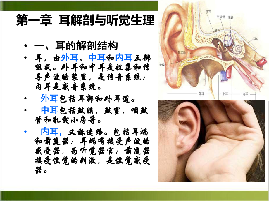 神经性耳鸣耳聋课件.pptx_第3页