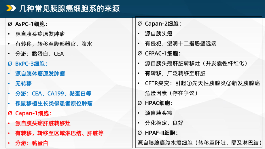 胰腺癌细胞系的表型及基因型介绍课件.ppt_第3页