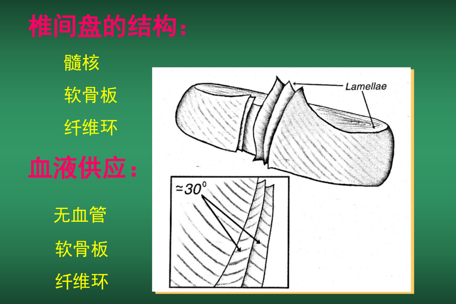 直腿抬高少脊髓造影单节段N根袖中断多节段硬膜囊压迫课件.ppt_第1页