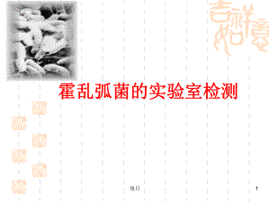 霍乱弧菌实验室检测(高等教学)课件.ppt