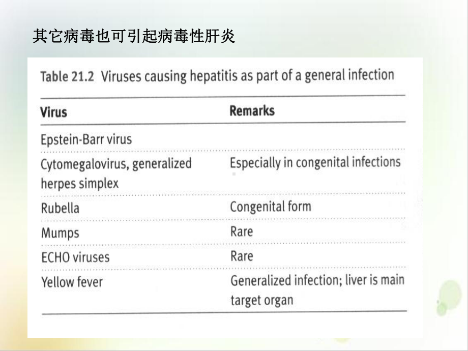 肝炎病毒五年制1课件.ppt_第3页