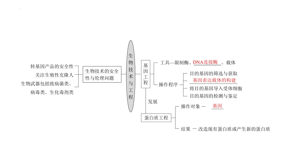 2022新人教版（2019）《高中生物》选择性必修第三册一轮复习（ppt课件）：生物技术与工程.pptx_第2页