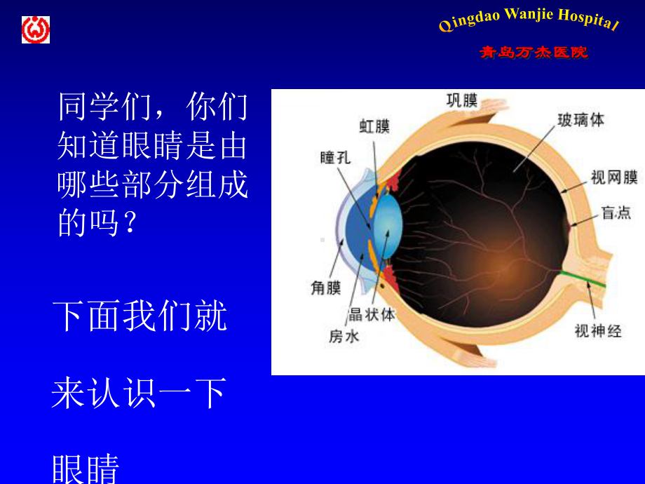 预防近视-小学生健康教育课件.ppt_第3页