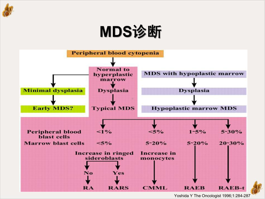 骨髓增生异常综合征的诊治进展课件.pptx_第2页