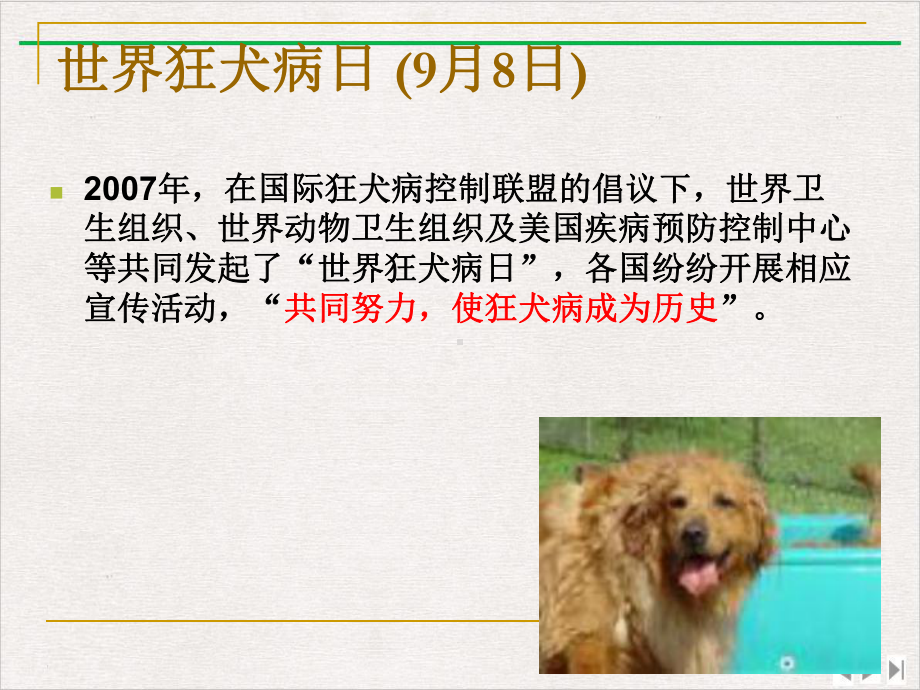 狂犬病讲课稿实用版课件.pptx_第1页