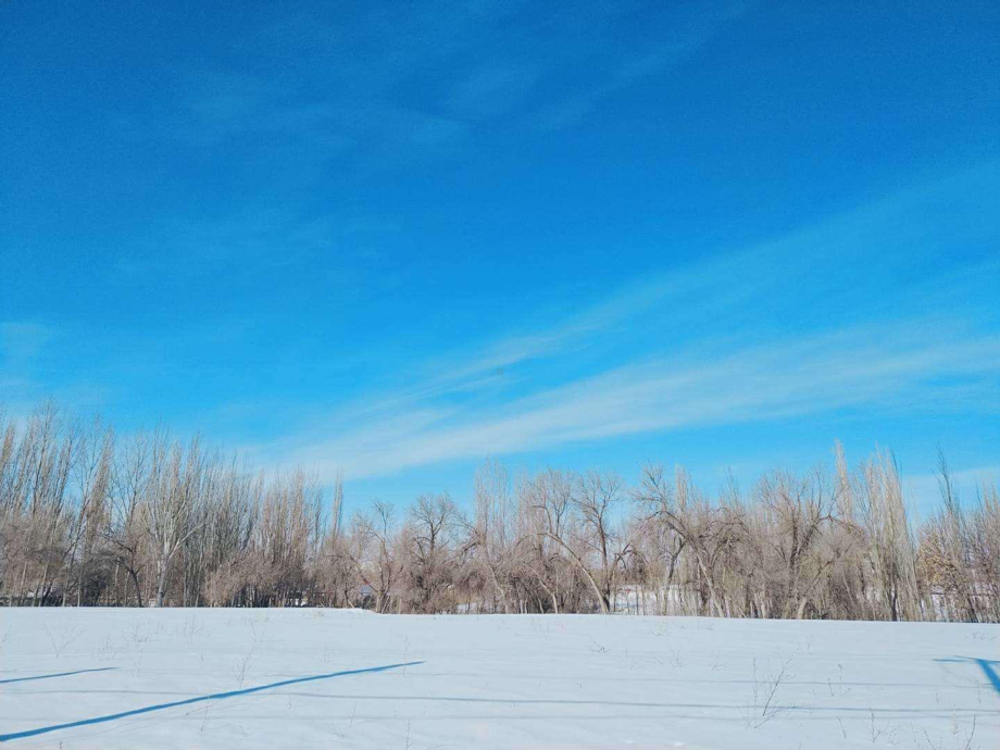 部编版教材《济南的冬天》优秀课件1.pptx_第2页