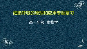 2022新人教版（2019）《高中生物》必修第一册细胞呼吸专题复习 （ppt课件）.pptx