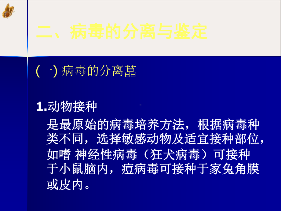 病毒感染的诊断和防治课件.pptx_第3页