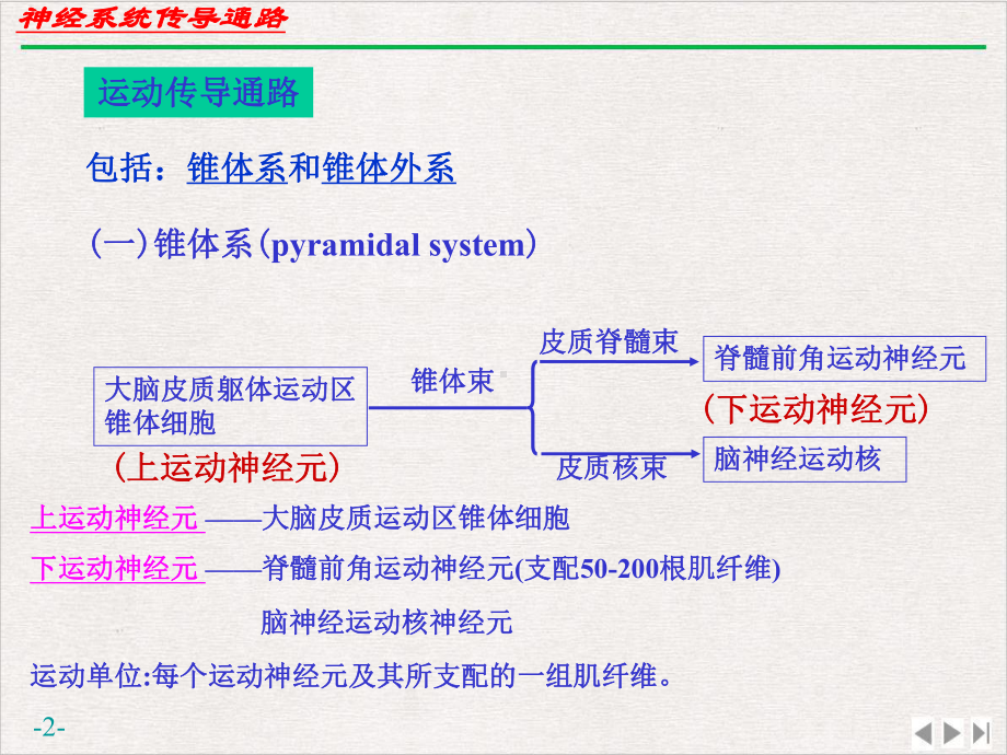 神经系统运动传导路新版课件.pptx_第2页