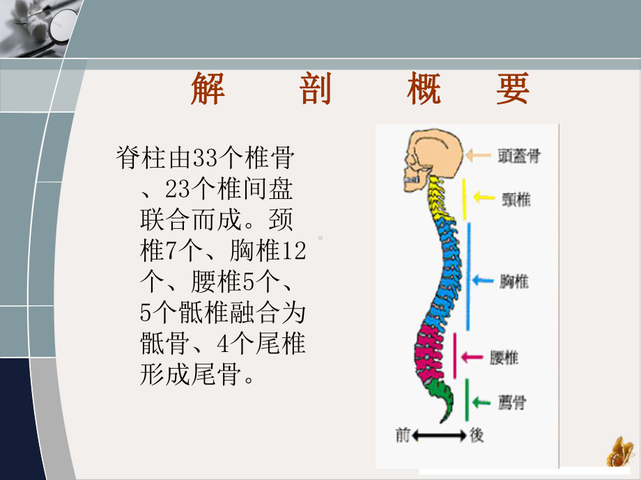 颈椎手术围手术期的护理课件.pptx_第2页