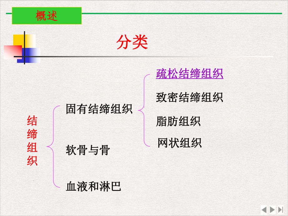 结缔组织级本科法医与护理优选课件.pptx_第3页