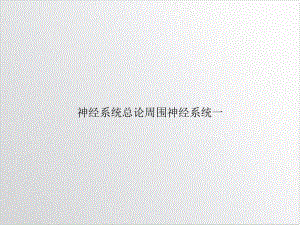 神经系统总论周围神经系统一示范课件.ppt