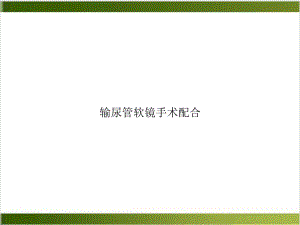 输尿管软镜手术配合PPT课件.ppt