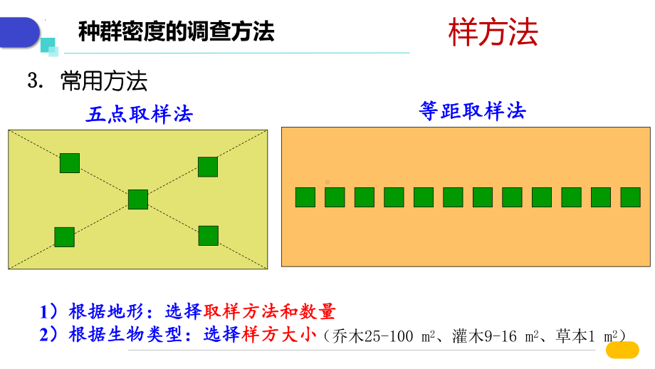 2-1 群落的结构ppt课件-2022新人教版（2019）《高中生物》选择性必修第二册.pptx_第1页