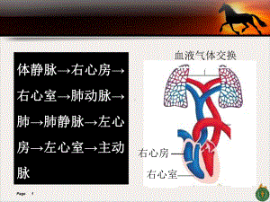 陕西中医学院内科学肺心病课件.pptx