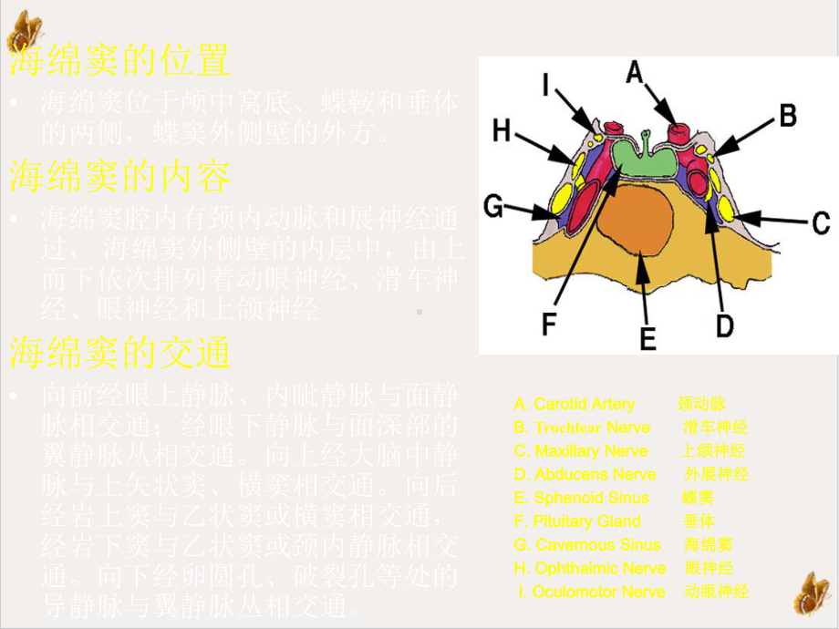 颈动脉海绵窦瘘课件.pptx_第2页