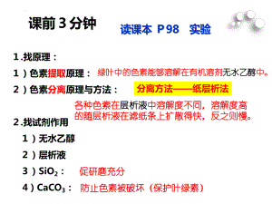 5－4　光合作用ppt课件-2022新人教版（2019）《高中生物》必修第一册.pptx