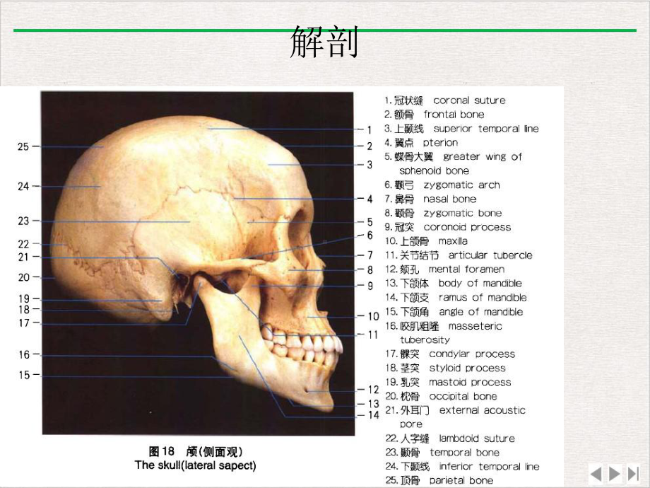 颞颌关节紊乱病的物理治疗课件整理.pptx_第2页