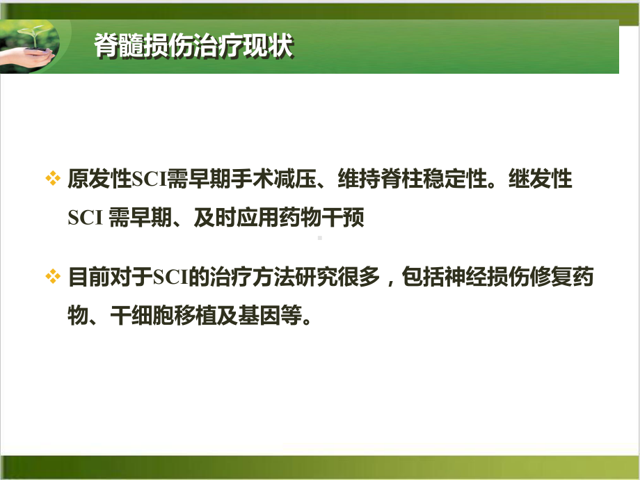 神经生长因子在骨科神经修复再生中的应用及启示课件(同名105).pptx_第3页