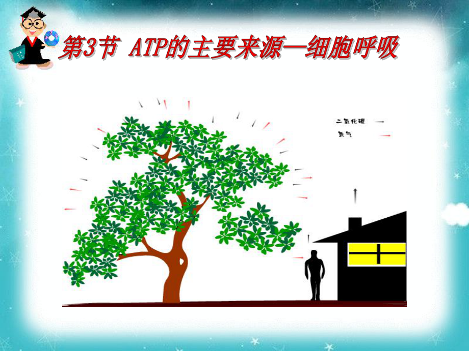 第3节-ATP的主要来源-细胞呼吸课件.ppt_第1页