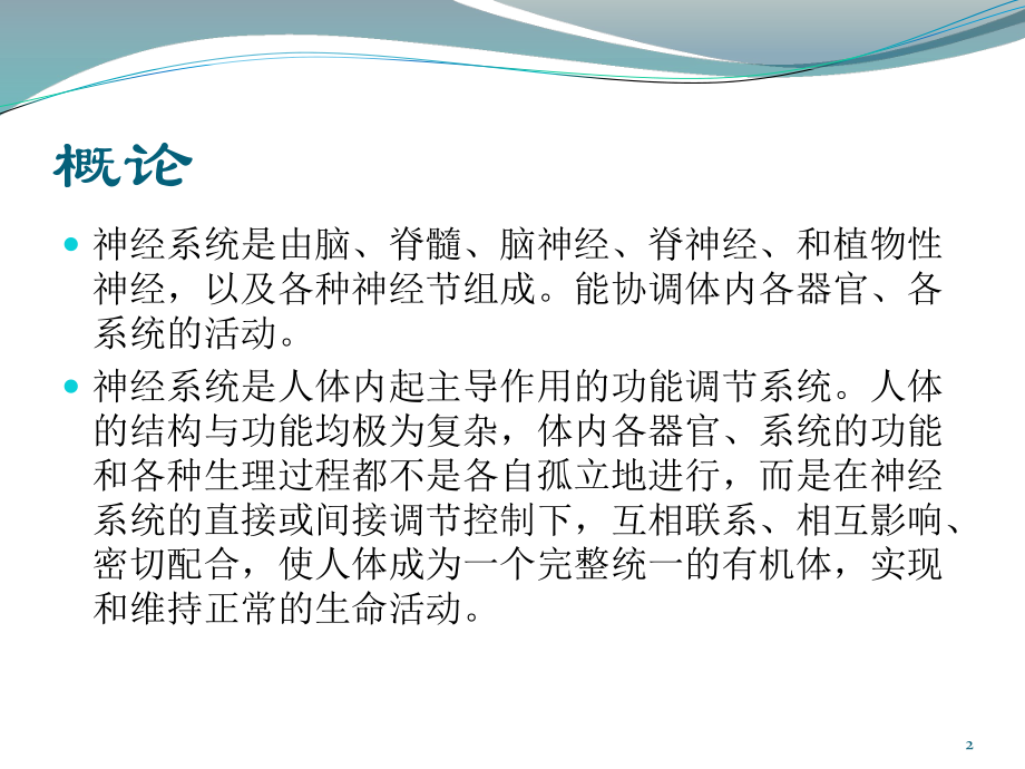 神经系统图解课件整理.ppt_第2页