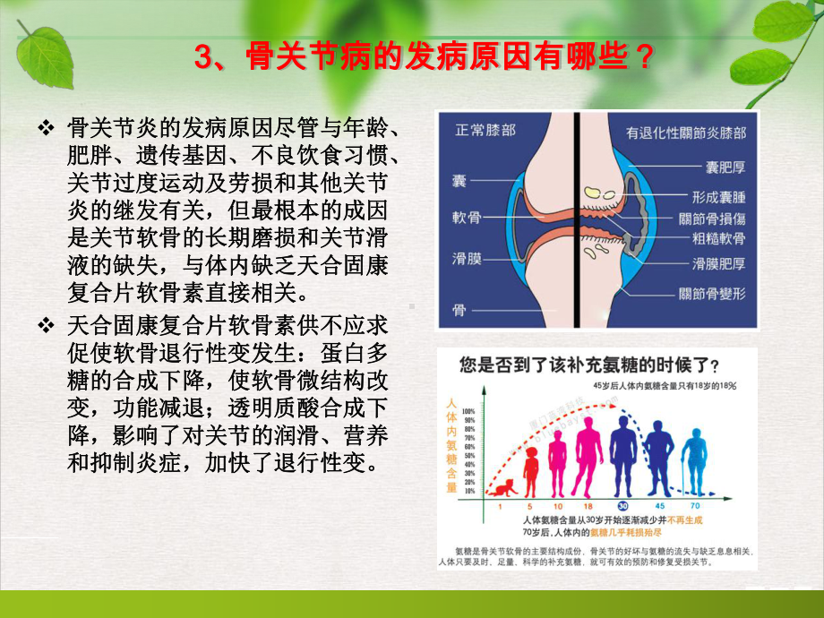 骨关节知识学习手册课件.pptx_第3页