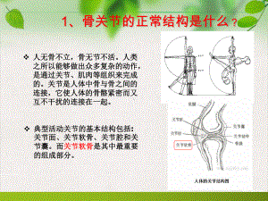 骨关节知识学习手册课件.pptx