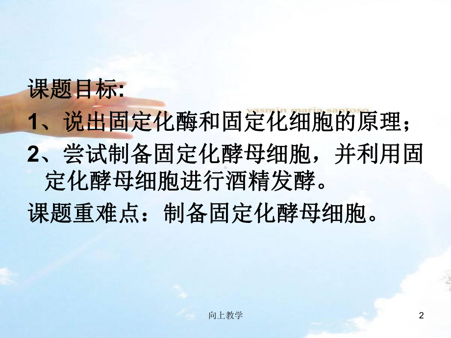 酵母细胞的固定化(竹菊书苑)课件.ppt_第2页