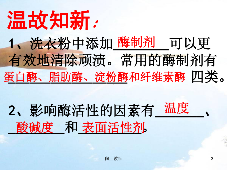 酵母细胞的固定化(竹菊书苑)课件.ppt_第3页