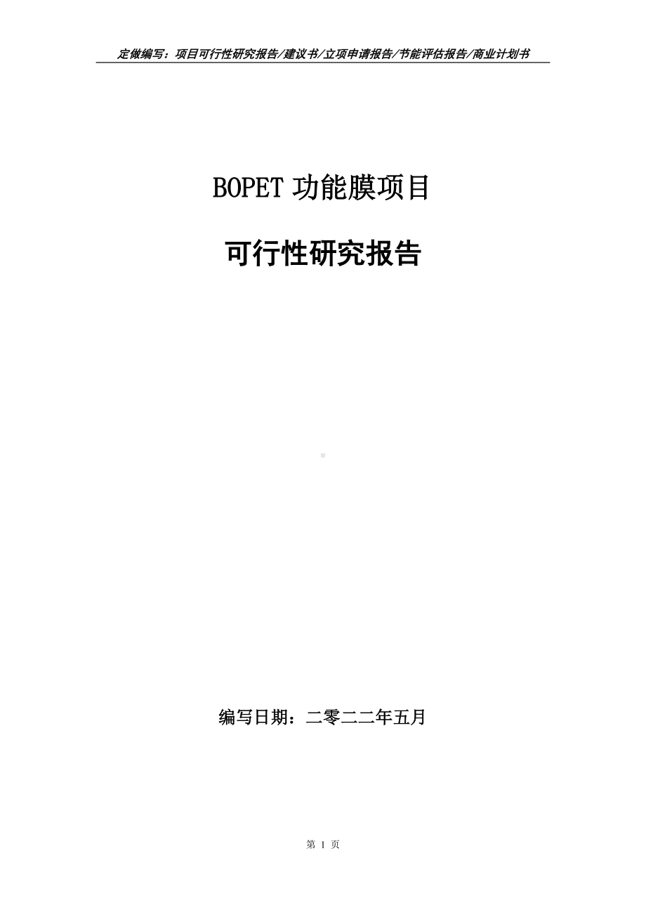 BOPET功能膜项目可行性报告（写作模板）.doc_第1页