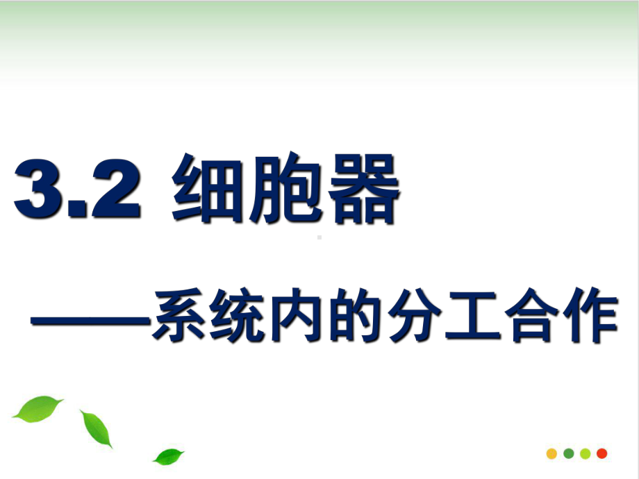 细胞器第一课时o课件.ppt_第2页