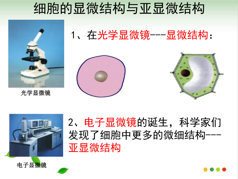 细胞器第一课时o课件.ppt_第3页