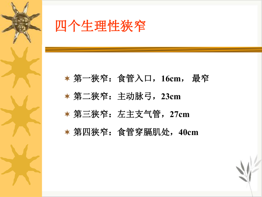 食管异物护理查房课件.pptx_第2页