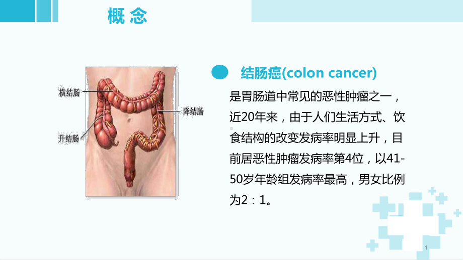 结肠癌疾病护理查房课件(模板).pptx_第1页