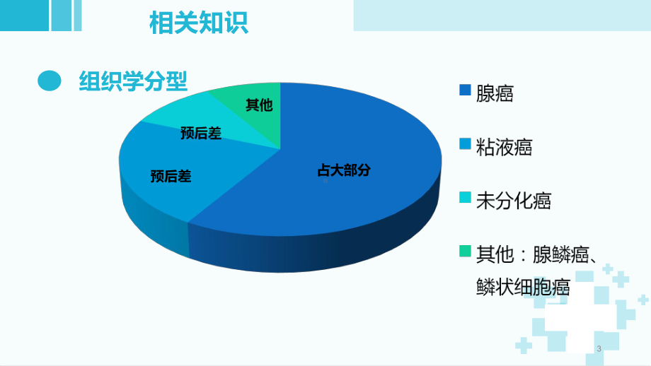 结肠癌疾病护理查房课件(模板).pptx_第3页