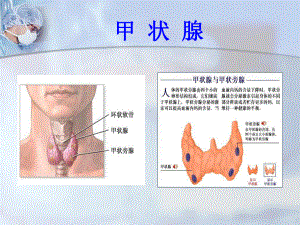 甲状腺核素扫描课件.ppt