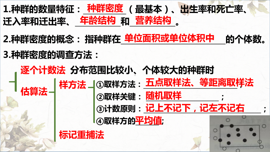 2022新人教版（2019）《高中生物》选择性必修第二册生物与环境复习（ppt课件）.pptx_第2页